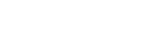 美しいスタイリングと追及された実用性